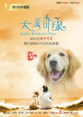 犬爱奇缘海报